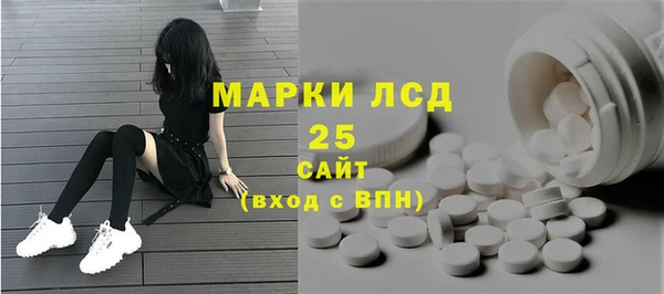 прущие грибы Арсеньев