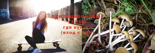 соль ск Аркадак