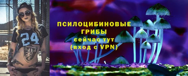 метадон Алексин