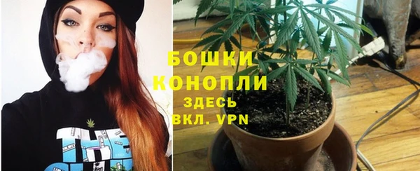 прущие грибы Арсеньев