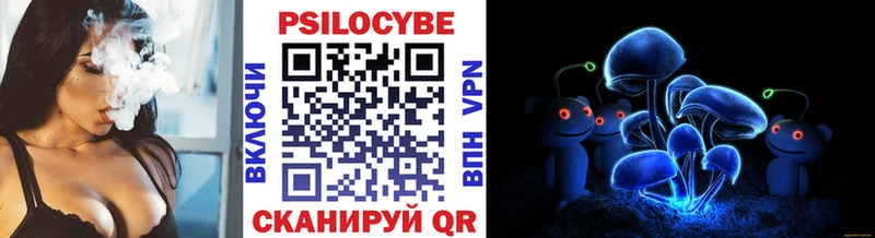 Псилоцибиновые грибы мицелий  купить закладку  Пикалёво 